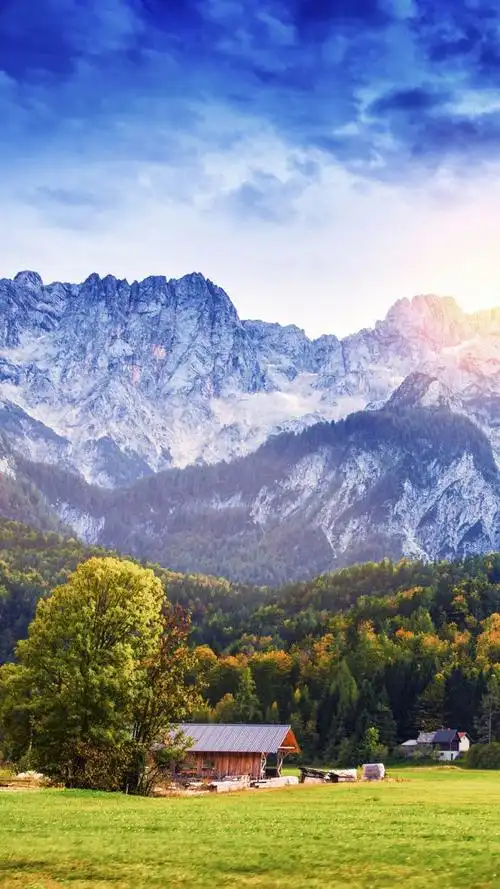 PTA作业4和实验4